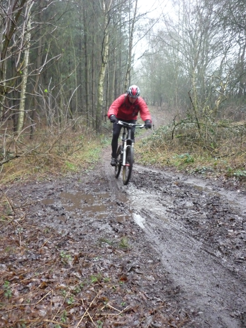 Baz tackling a puddle