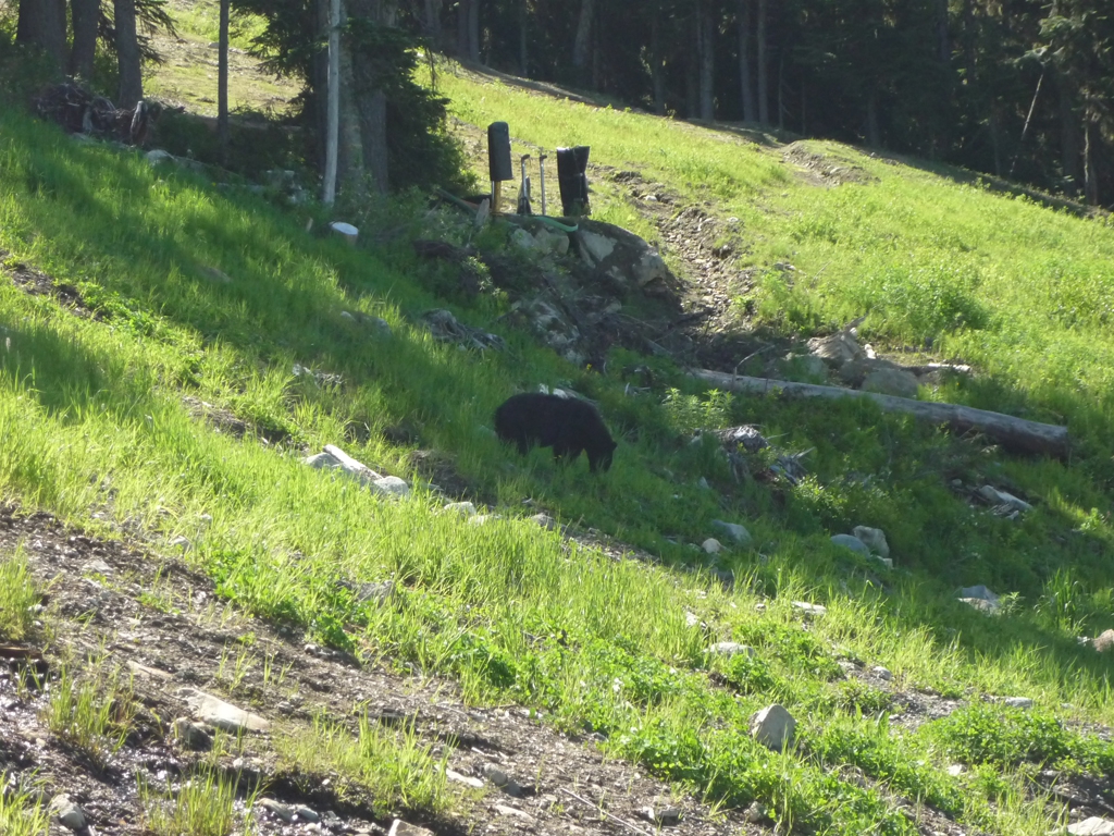 whistler_2011_71_20110904_1949594173
