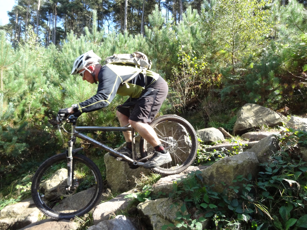 monkey_trail_18_20120929_1057831714