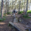 monkey_trail_2_20120929_1384913786