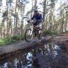 monkey_trail_5_20120929_1111612715