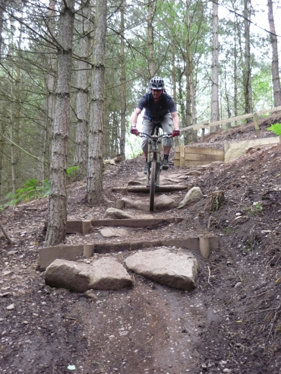 monkey_trail_1_20110620_1754615088