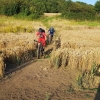 IMG-20190814-WA0015