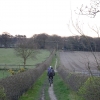 newstead