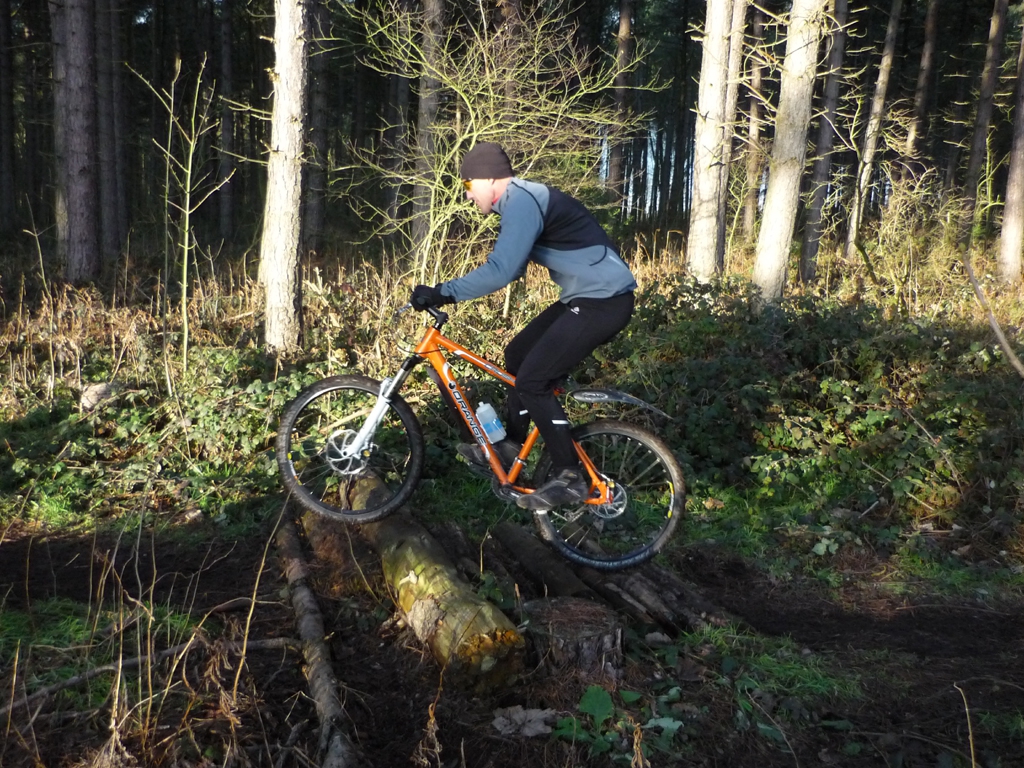 notts_woods_3_20110215_1311178672