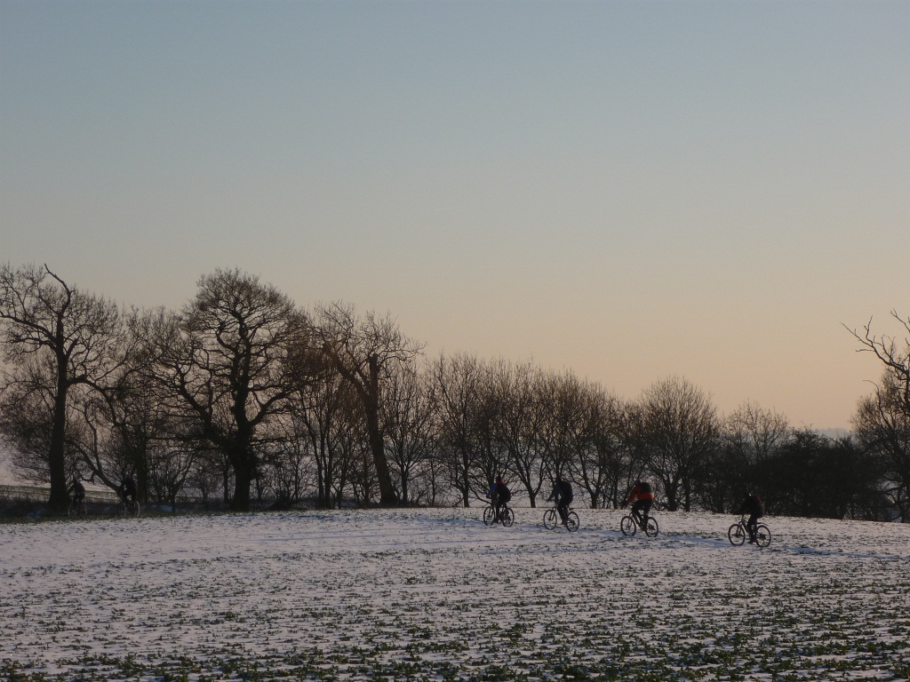 woods_feb_2012_22_20120213_1596565422