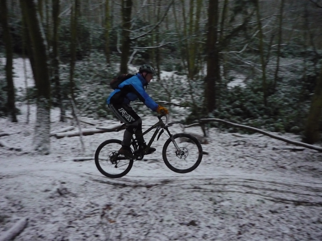 snowy_woods_11_20100327_1610270361