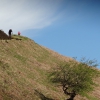 cut_gate_22_20130528_1604035579