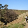 Macc Forest
