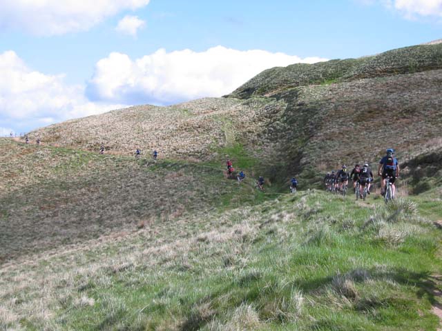 ortp_2003_8_20100317_1959973265