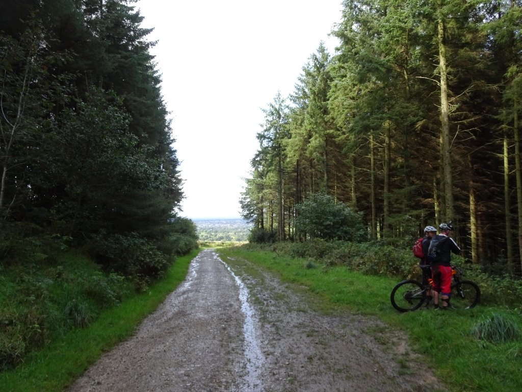 Three Shires and Macc Forest
