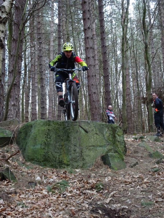 Wharncliffe Woods