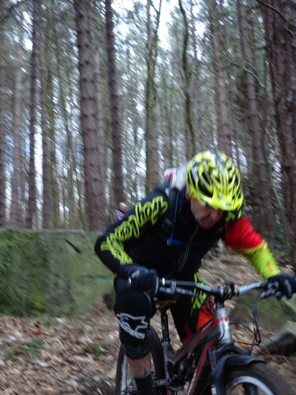 Wharncliffe Woods