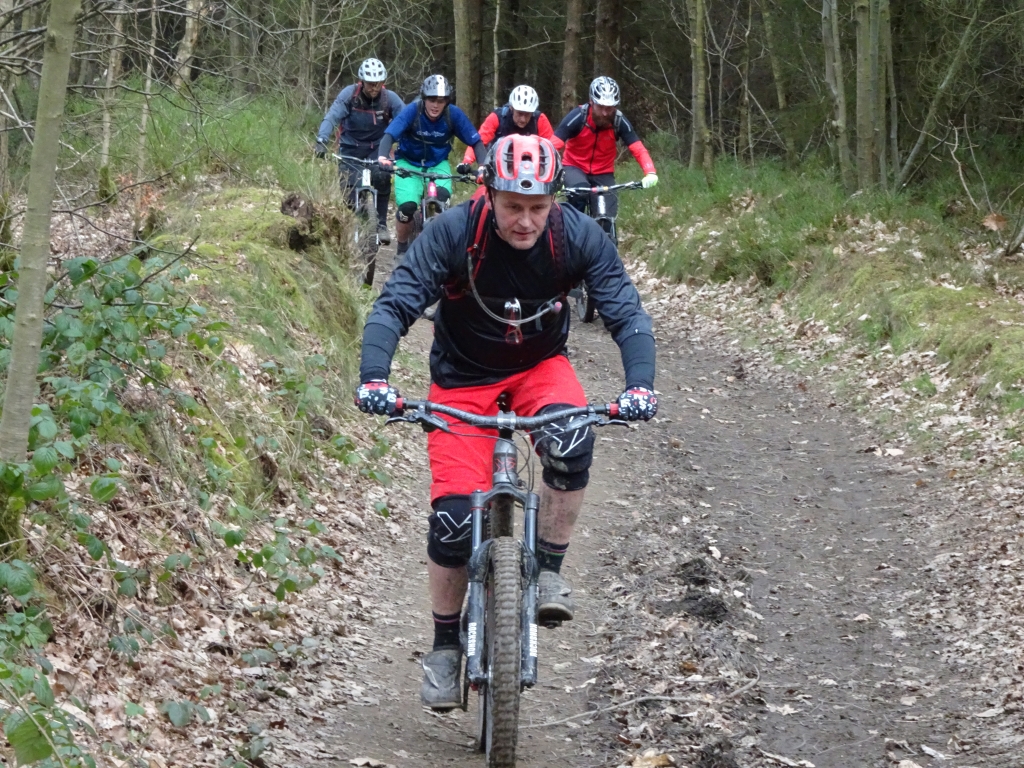 Wharncliffe Woods
