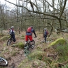 Wharncliffe Woods