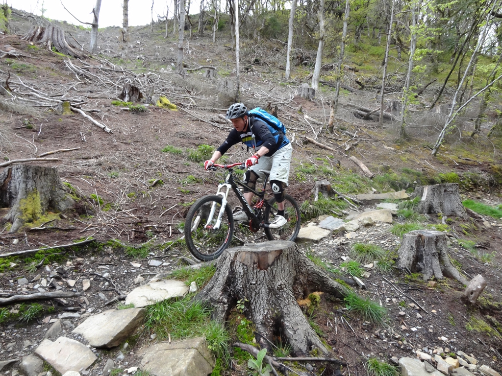 neil_50_26_20120522_1181536392